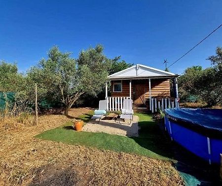 Un Chalet Dans Les Oliviers 3 Nuits Mini 님 외부 사진